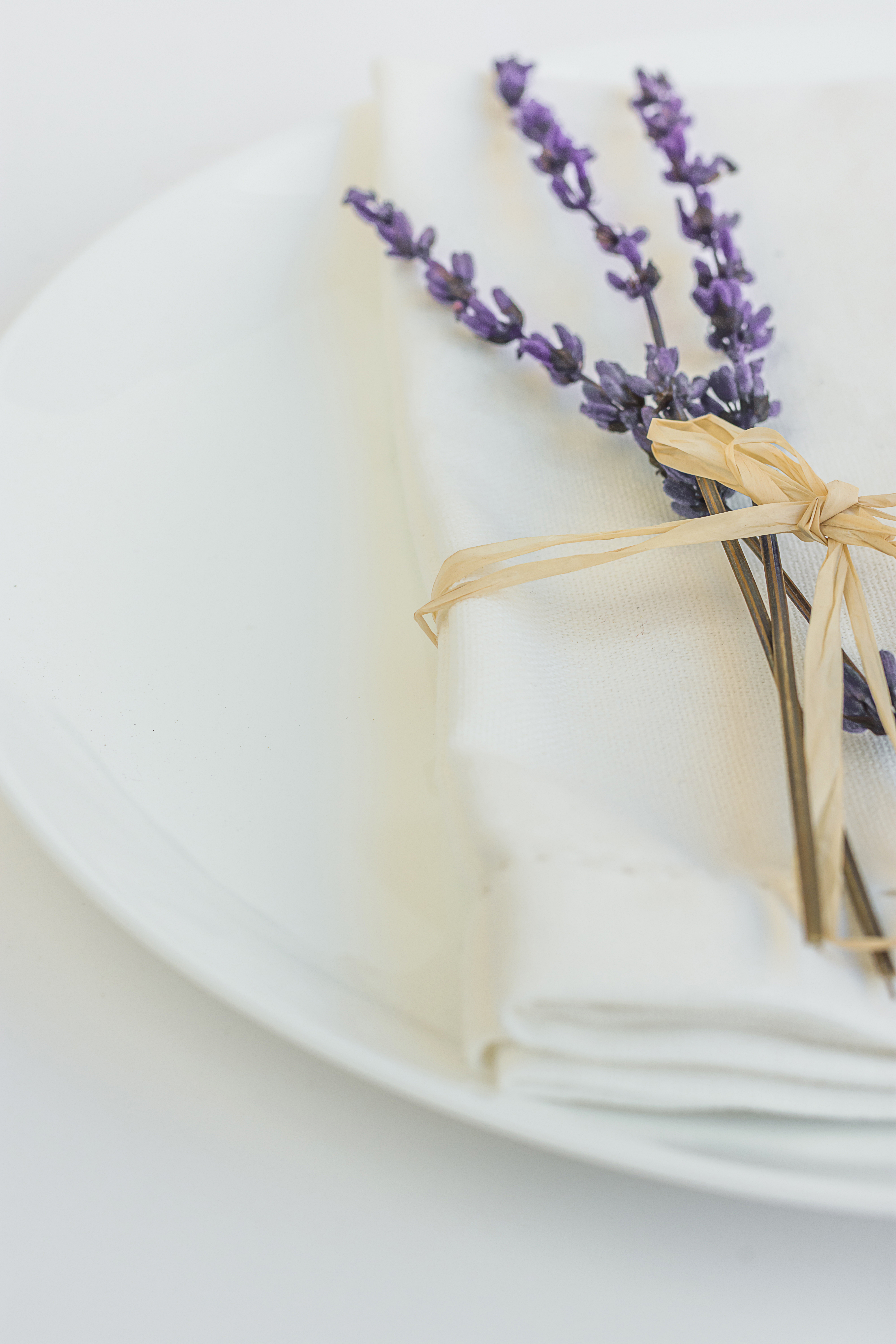 Dinnerware Tabletimes Lavender Napkin